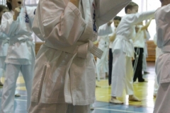 Egzamin-na-stopnie-szkoleniowe-kyu-15-stycznia-2012-r_574481