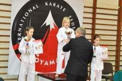 Mikolajkowy-Turniej-Oyama-Karate-w-konkurencji-kata-Garbatka--Letnisko-8122012-_739183