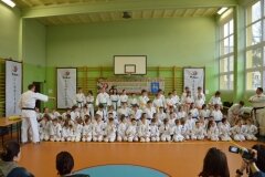 Mistrzostwa-Kozienic-Oyama-Karate-w-konkurencji-kata-19042013_814968