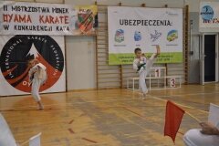 Mistrzostwa-Pionek-Oyama-Karate-w-konkurencji-kata-6052013_792391