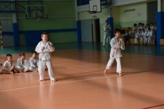 Mistrzostwa-Zwolenia-Oyama-Karate-w-Kata---2032013_762519