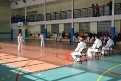 Mistrzostwa-Zwolenia-Oyama-Karate-w-Kata---2032013_763897