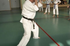 Mistrzostwa-Zwolenia-Oyama-Karate-w-konkurencji-kata_591123