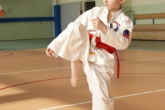 Mistrzostwa-Zwolenia-Oyama-Karate-w-konkurencji-kata_596439