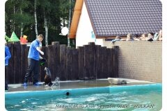 foto53_916112