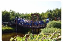 foto65_917845