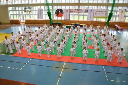XIV Turniej NKSW Wulkan w konkurencji kata. 2.06.2013