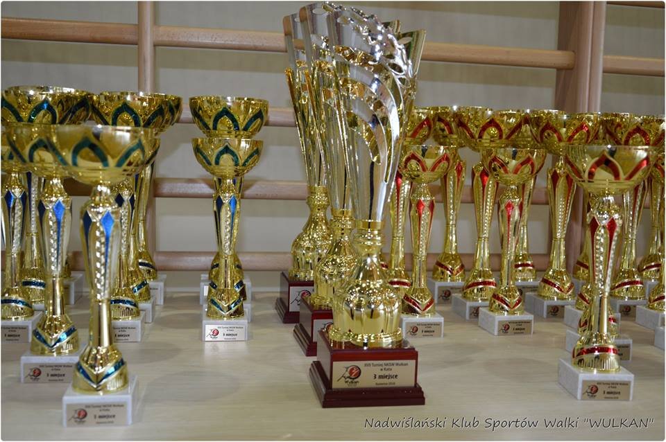 XVII Turniej NKSW Wulkan w Kata, Kozienice 4 czerwca 2016