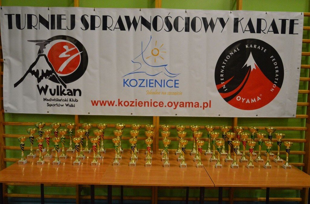 IV Turniej Sprawnościowy Karate, Kozienice 18 listopada 2016