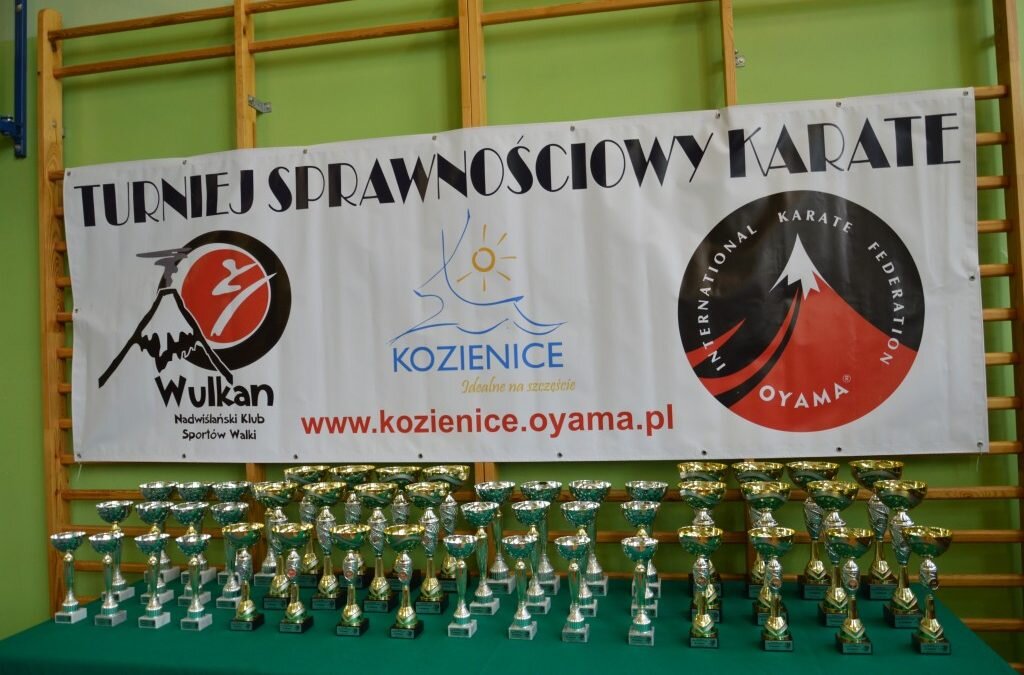 VII Turniej Sprawnościowy Karate, Kozienice 13 kwietnia 2018 r.