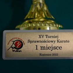 XV Turniej Sprawnościowy Karate, 14 grudnia 2022 r