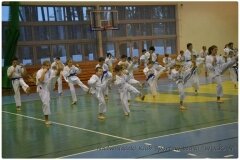 Egzamin-na-stopnie-szkoleniowe-kyu-25-stycznia-2014-_861858