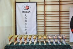 Mikolajkowy-Turniej-Oyama-Karate-w-konkurencji-kata-Garbatka--Letnisko-8122012-_731427