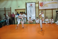 Mikolajkowy-Turniej-Oyama-Karate-w-konkurencji-kata-Garbatka--Letnisko-8122012-_731706