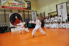 Mikolajkowy-Turniej-Oyama-Karate-w-konkurencji-kata-Garbatka--Letnisko-8122012-_738327