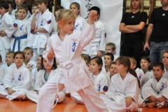 Mikolajkowy-Turniej-Oyama-Karate-w-konkurencji-kata-Garbatka--Letnisko-8122012-_738754