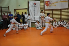Mikolajkowy-Turniej-Oyama-Karate-w-konkurencji-kata-Garbatka--Letnisko-8122012-_738977