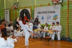 Mistrzostwa-Kozienic-Oyama-Karate-w-konkurencji-kata-19042013_817173