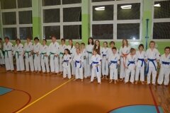 Mistrzostwa-Kozienic-Oyama-Karate-w-konkurencji-kata-19042013_818452