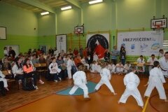 Mistrzostwa-Kozienic-Oyama-Karate-w-konkurencji-kata-19042013_819127