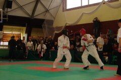 Mistrzostwa-Polski-Oyama-Karate-w-konkurencji-kumite---13-14-kwietnia-2013-r_785061