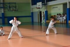 Mistrzostwa-Zwolenia-Oyama-Karate-w-Kata---2032013_764186