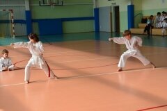 Mistrzostwa-Zwolenia-Oyama-Karate-w-Kata---2032013_768322
