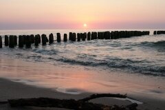 foto61_155275