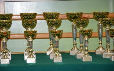 VI Turniej Sprawnościowy Karate, Kozienice 19 grudnia 2017 r.