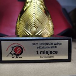 XXIV Turniej NKSW Wulkan w Konkurencji Kata, Kozienice 2 czerwca 2023 r
